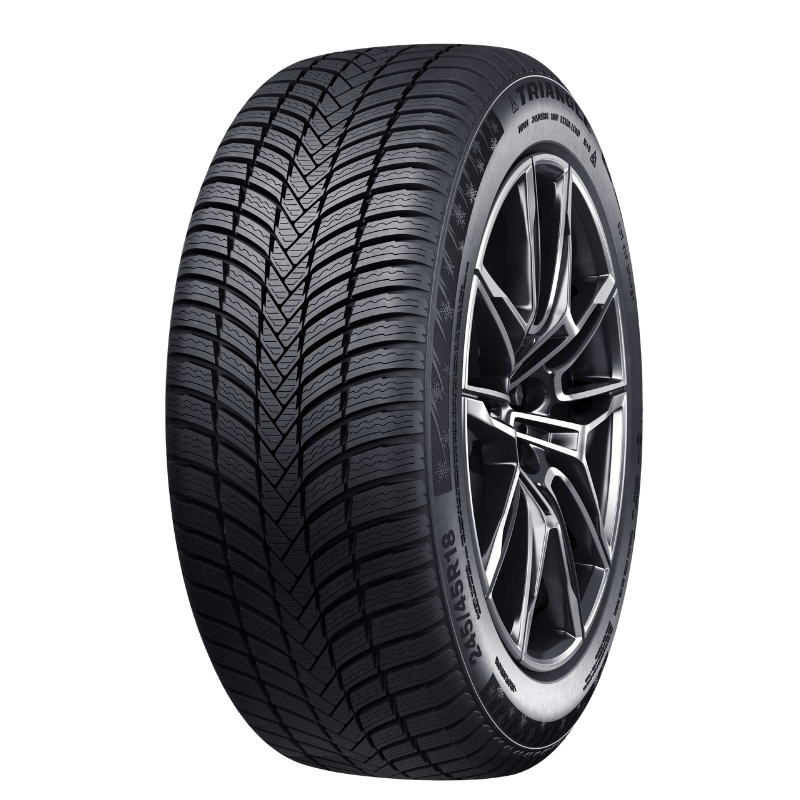 zimski гуми 29 235/50 R19 EffeXWinter TW421 103V XL