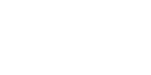 zimski гуми 41 195/65 R16C WH 2 Winter Evo 104/102T