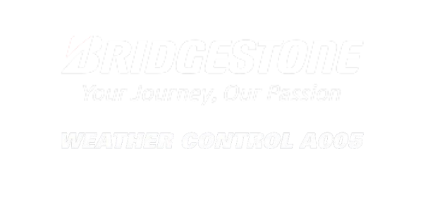 site-sezoni гуми BRIDGESTONE 225/60 R18 A005 XL 104V