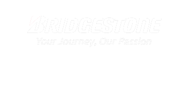 letni гуми BRIDGESTONE 235/55 R18 ALENZA 001 AO 100V