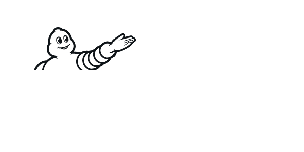 zimski гуми MICHELIN 275/35 R20 ALPIN 5 XL 102W