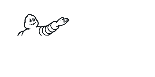 zimski гуми MICHELIN 215/45 R17 ALPIN 6 XL 91V