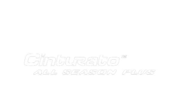 site-sezoni gumi PIRELLI  205/55 R16 CINTURATO AS PLUS 91V