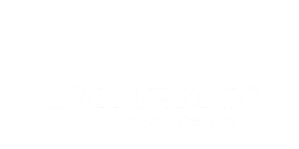 zimski gumi PIRELLI  205/50 R17 CINTURATO WINTER 2 XL 93V