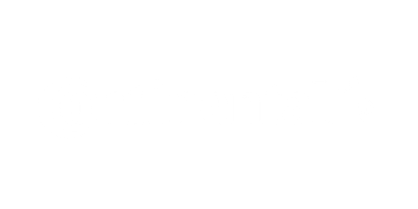 zimski гуми CONTINENTAL 205/75 R16 VANCONTACT WINTER 110R