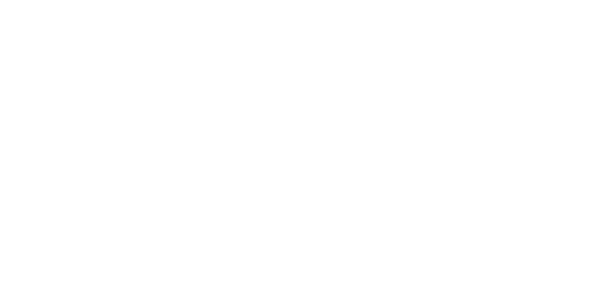 letni gumi CONTINENTAL  205/60 R16 ECO 5 MO 92V