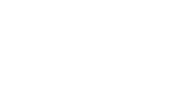 letni гуми GOODYEAR 205/50 R17 F1 ASYM 6 FP XL 93Y