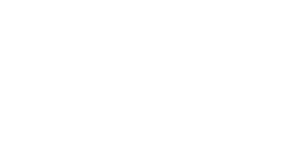 site-sezoni гуми GOODYEAR 205/75 R16 VECTOR-4S CARGO 113R