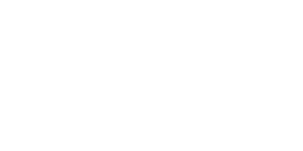 site-sezoni гуми HANKOOK 205/65 R17 H750A ALLSEASON XL 100Y