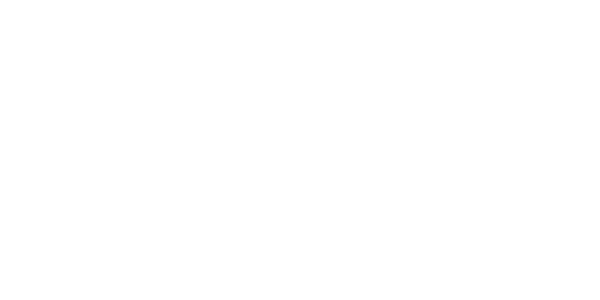 letni гуми HANKOOK 215/70 R16 K115 100H