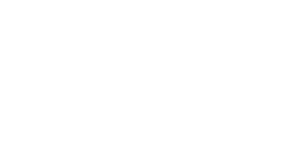letni гуми HANKOOK 315/35 R20 K127A XL 110Y