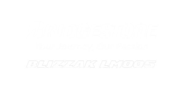 zimski гуми BRIDGESTONE 195/65 R15 LM-005 91T