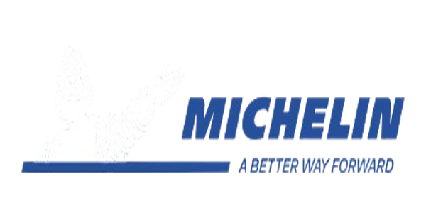 letni gumi MICHELIN  205/55 R16 EXALTO PE2 NO 91Y