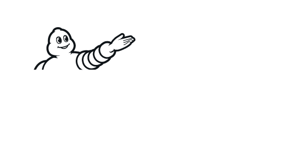 letni гуми MICHELIN 235/50 R20 PS4 SUV JLR XL 104Y