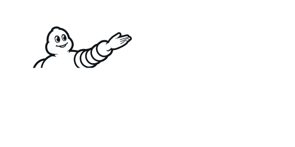 letni гуми MICHELIN 255/45 R20 PS5 ENERGY XL 103Y