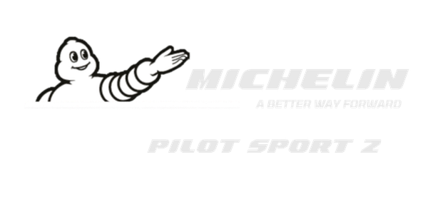 letni гуми MICHELIN 265/35 R19 PS2 N2 94Y