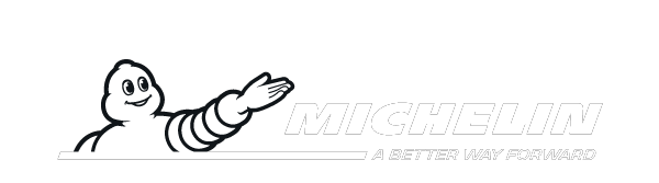 letni гуми MICHELIN 295/35 R21 PILOT SPORT S 5(BMW) XL 110Y
