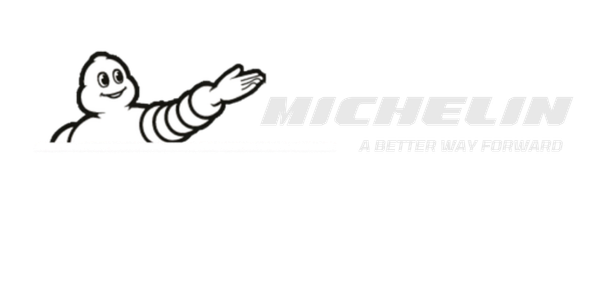 zimski гуми MICHELIN 195/75 R16 AGILIS ALPIN 110R