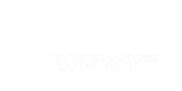 site-sezoni гуми PIRELLI 205/55 R17 POWERGY AS XL 95V