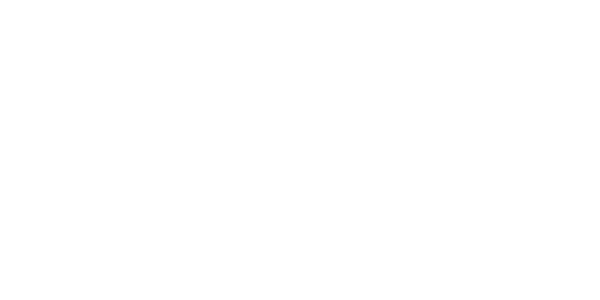 letni гуми PIRELLI 235/35 R19 PZERO R XL 91Y