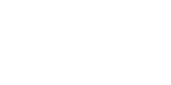 letni гуми PIRELLI 255/50 R21 PZERO E(BMW) ELECT XL 109Y