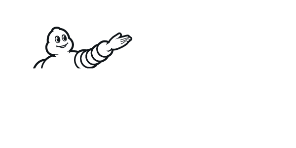 zimski гуми MICHELIN 235/40 R19 PILOT ALPIN 5 96W