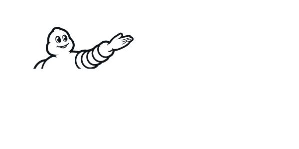 zimski гуми MICHELIN 265/45 R20 PILOT ALPIN 5 SUV N0 104V
