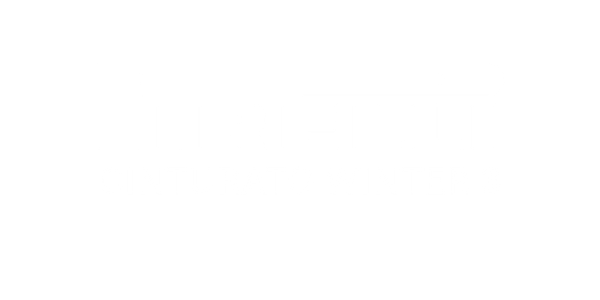 zimski гуми PIRELLI 205/60 R16 CINTURATO WINTER 3 XL 96H