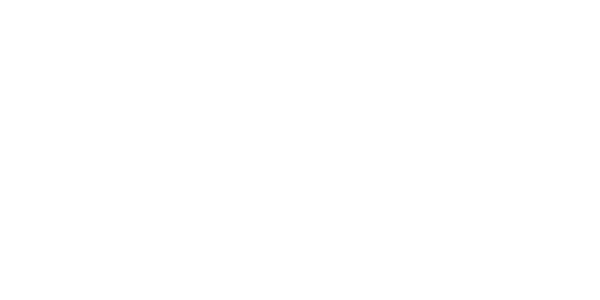 zimski гуми PIRELLI 225/45 R18 WSZer3 MOE RFT XL 95H