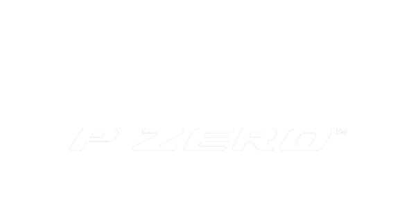 zimski гуми PIRELLI 275/35 R19 WINTER PZERO(BMW) XL 100V