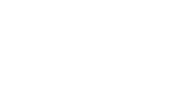 zimski gumi YOKOHAMA  245/40 R20 V905 BLUEARTH XL 99V