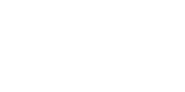 zimski гуми HANKOOK 195/60 R16 W462 XL 93H