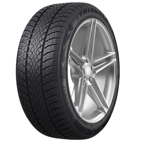 zimski gumi 29  205/55 R17 WinterX TW401 95V (XL)