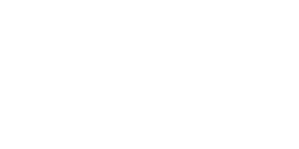 zimski гуми DUNLOP 275/40 R20 WINTER SPORT 5 SUV XL 106V
