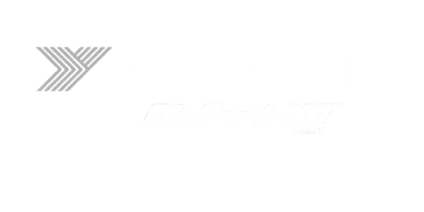 letni гуми YOKOHAMA 215/60 R17 BLUEARTH-XT AE61 96H