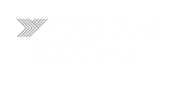 letni gumi YOKOHAMA  295/35 R21 V103 N1 XL 107Y
