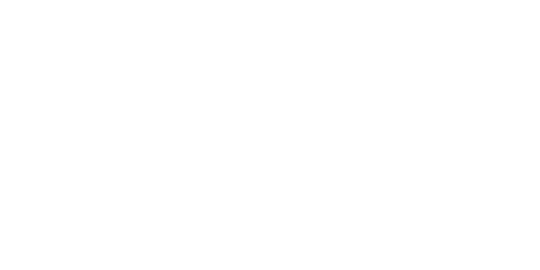 letni gumi YOKOHAMA  295/35 R21 V105T N2 XL 107Y