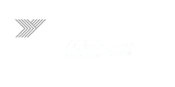 zimski гуми YOKOHAMA 245/45 R18 V906 BLUEARTH XL 100V
